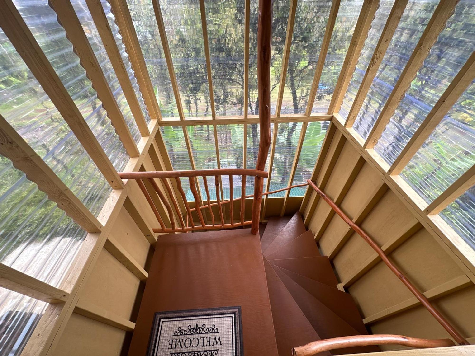 Volcano Eco Cabin & Eco Lodge エクステリア 写真